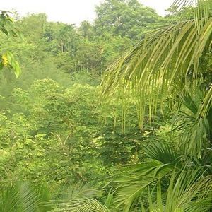 Meet your Posher, Anjum